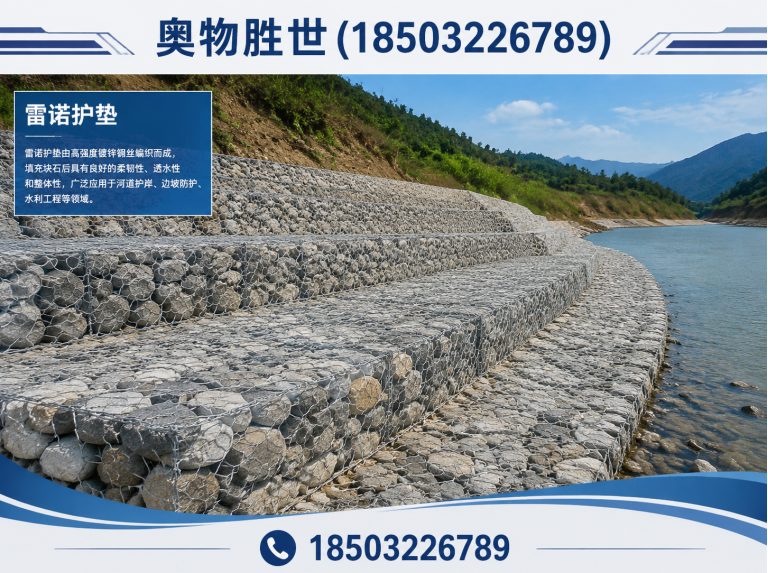 菏泽雷诺护垫展示图